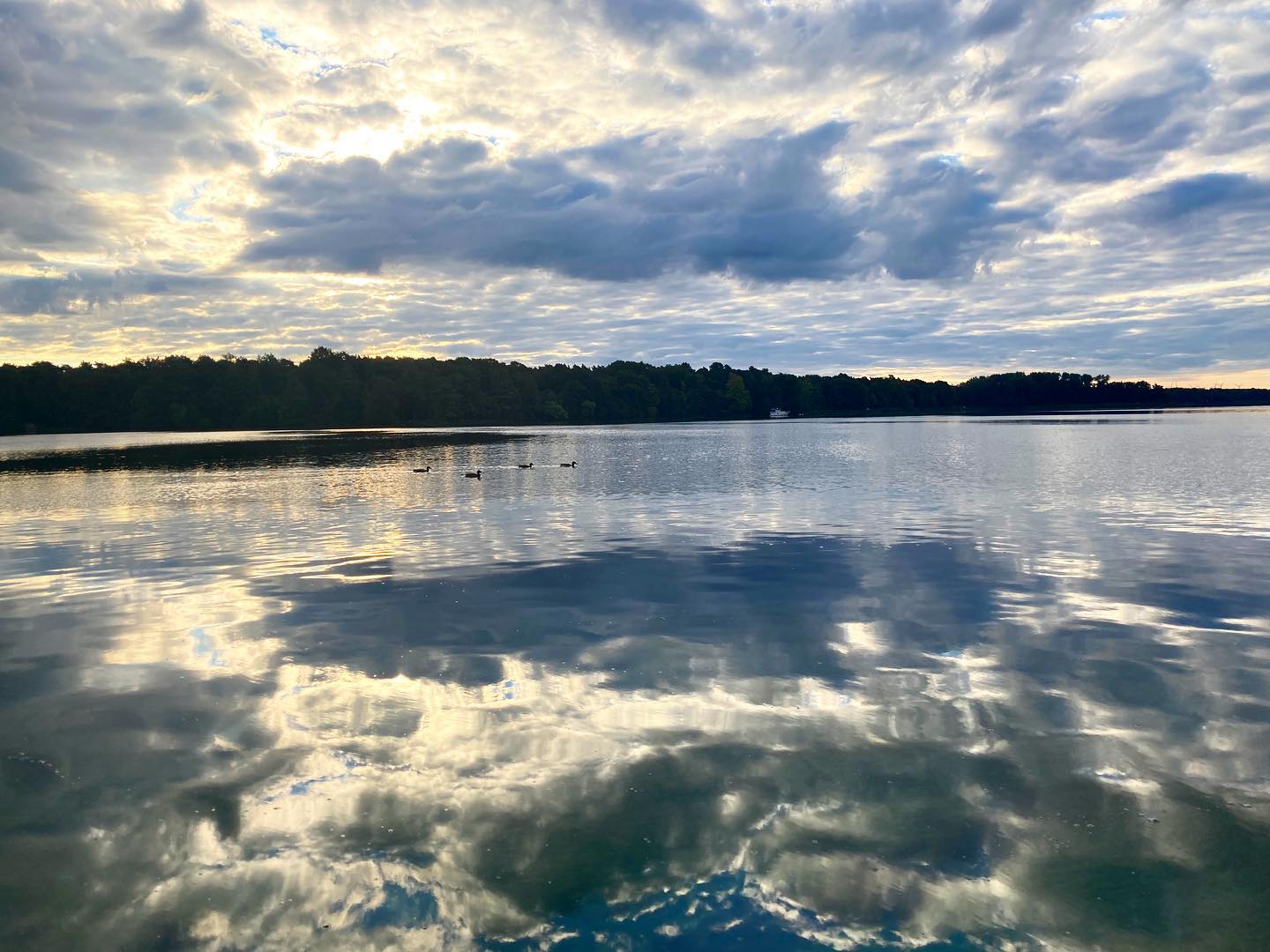 Ohne Worte 🤩 #wolken #spiegelbild #amsee #schwimmenmachtglücklich